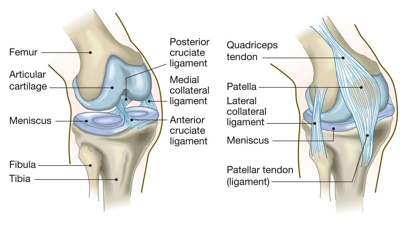 Knee Instability Treatment by Dr. Jigar Desai