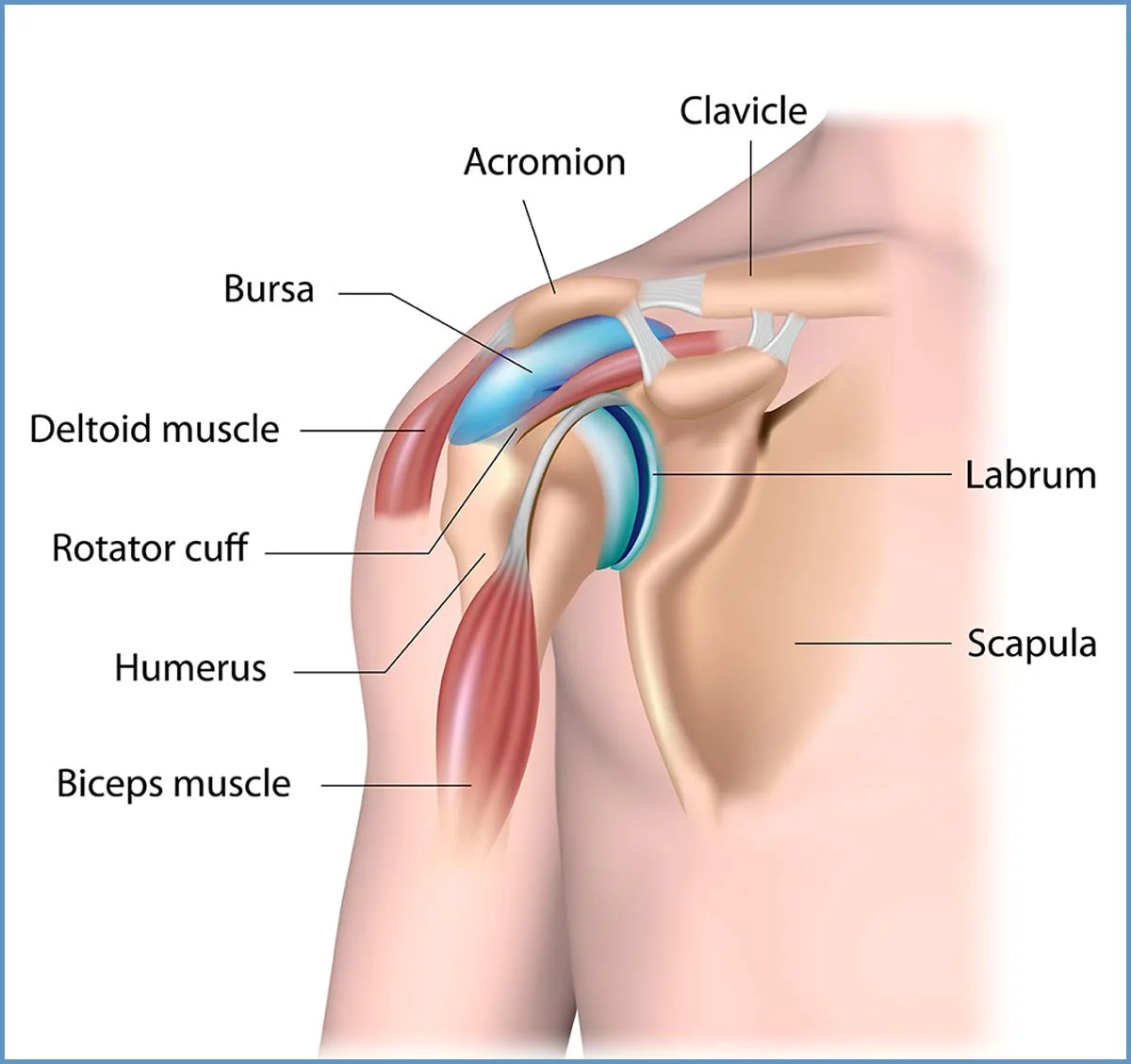 Shoulder Arthroscopy Surgery